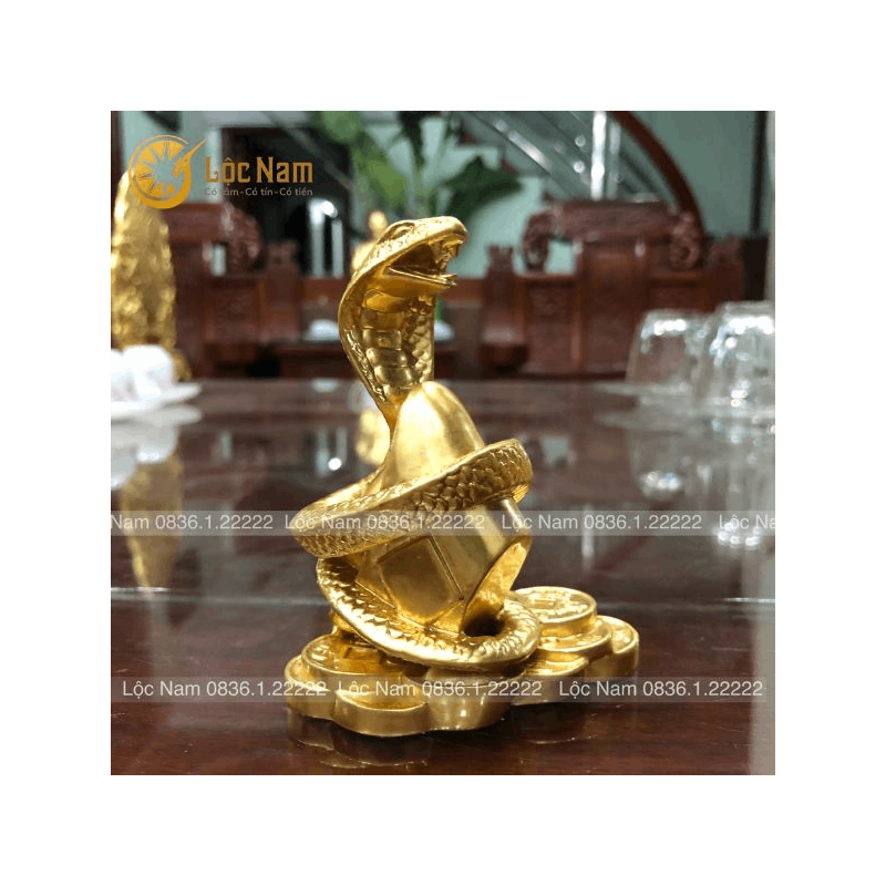 Tượng Rắn Cuộn Tiền Bằng Đồng Cỡ Nhỏ trưng bày phong thủy