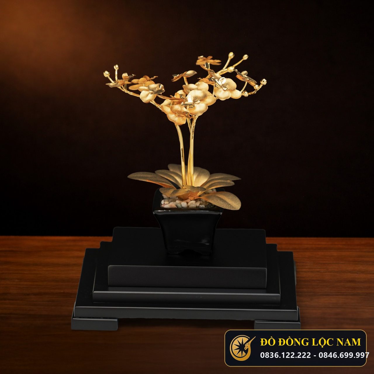 Chậu Hoa Lan Hồ Điệp Mạ Vàng 24K Cao Cấp