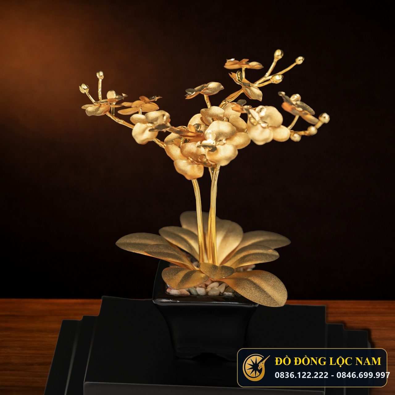 Chậu Hoa Lan Hồ Điệp Mạ Vàng 24K Cao Cấp góc chụp 2