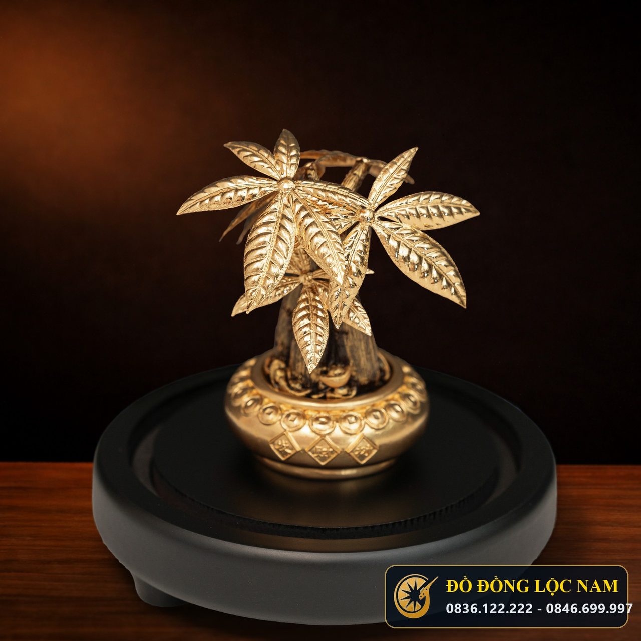 Cây Kim Ngân May Mắn Dát Vàng 24K - Mẫu 5