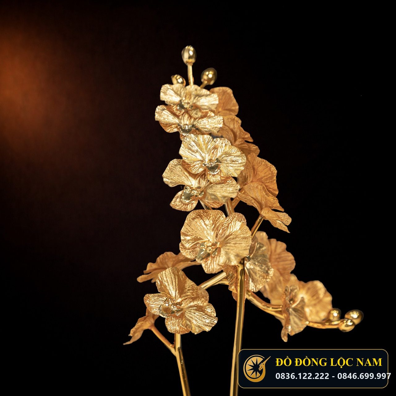 Chậu Hoa Lan Phú Quý Mạ Vàng 24K - Mẫu 1 góc chụp 1