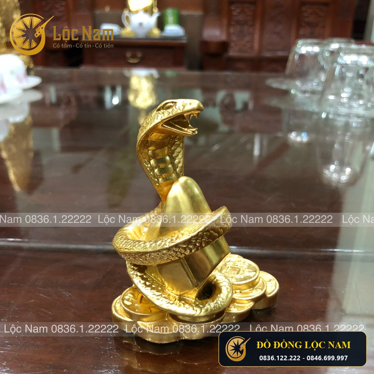Tượng Rắn Cuốn Tiền Bằng Đồng Mạ Vàng Phong Thủy góc chụp 1