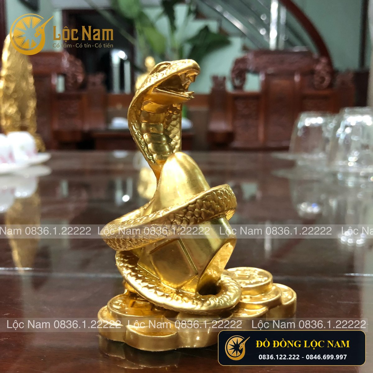Tượng Rắn Cuốn Tiền Bằng Đồng Mạ Vàng Phong Thủy góc chụp 2