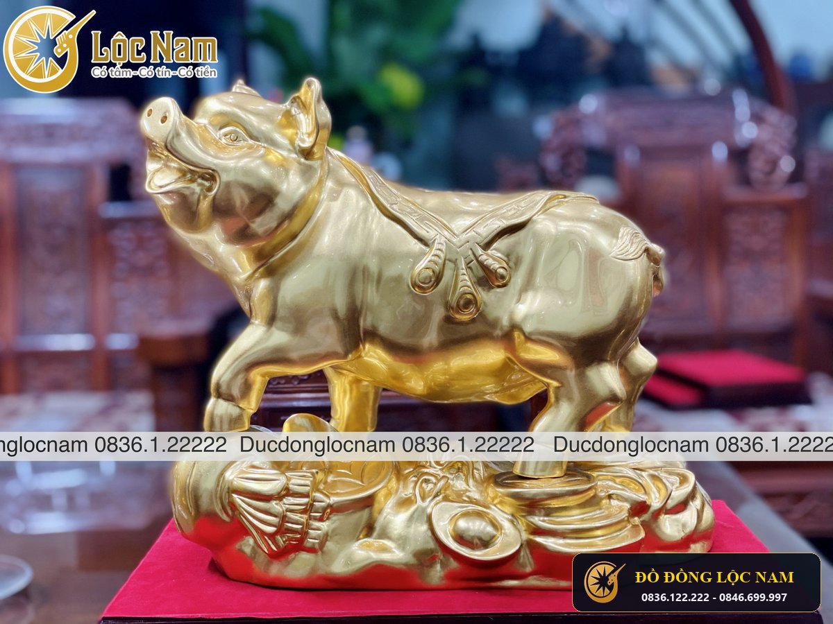Tượng Lợn Bằng Đồng Phong Thủy Mạ Vàng 24K góc chụp 1