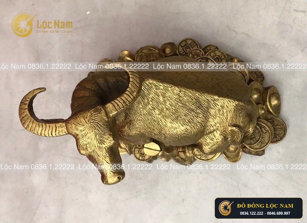 Tượng Trâu Nằm Trên Tiền Bằng Đồng Cao 11cm góc chụp 2